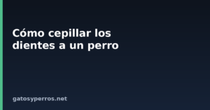 Cómo cepillar los dientes a un perro