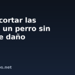 Cómo cortar las uñas a un perro sin hacerle daño