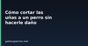 Cómo cortar las uñas a un perro sin hacerle daño