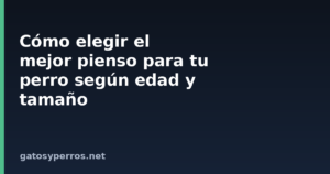 Cómo elegir el mejor pienso para tu perro según edad y tamaño