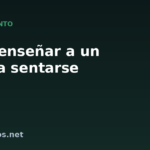 Cómo enseñar a un perro a sentarse