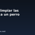 Cómo limpiar las orejas a un perro