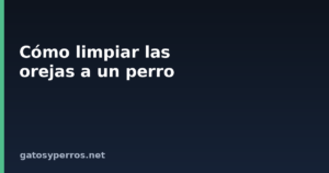 Cómo limpiar las orejas a un perro