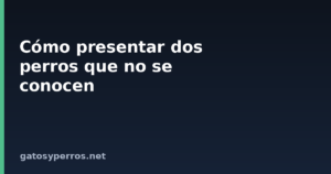 Cómo presentar dos perros que no se conocen