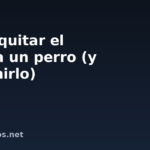 Cómo quitar el sarro a un perro (y prevenirlo)