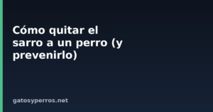 Cómo quitar el sarro a un perro (y prevenirlo)