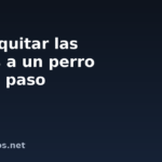 Cómo quitar las pulgas a un perro paso a paso