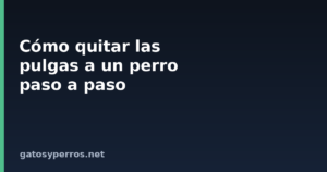 Cómo quitar las pulgas a un perro paso a paso