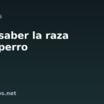 Cómo saber la raza de mi perro