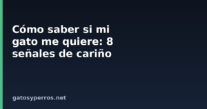 Cómo saber si mi gato me quiere: 8 señales de cariño