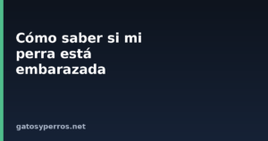 Cómo saber si mi perra está embarazada