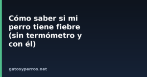 Cómo saber si mi perro tiene fiebre (sin termómetro y con él)