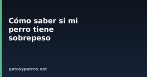 Cómo saber si mi perro tiene sobrepeso