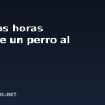 Cuántas horas duerme un perro al día
