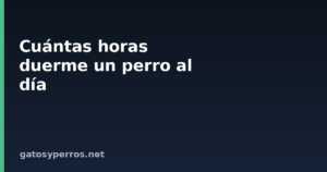 Cuántas horas duerme un perro al día