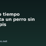 Cuánto tiempo aguanta un perro sin hacer pis