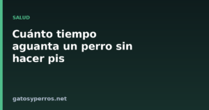 Cuánto tiempo aguanta un perro sin hacer pis