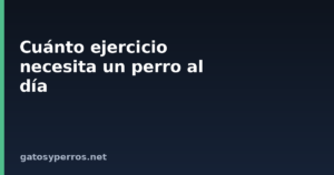 Cuánto ejercicio necesita un perro al día
