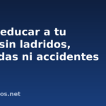 Cómo educar a un perro para que no ladre, muerda ni se haga dentro de casa Cómo educar a un perro