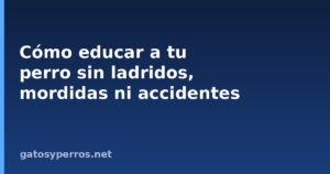 Cómo educar a un perro