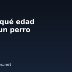 Hasta qué edad crece un perro