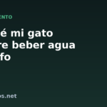 Por qué mi gato prefiere beber agua del grifo