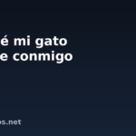 Por qué mi gato duerme conmigo