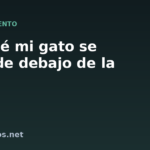Por qué mi gato se esconde debajo de la cama