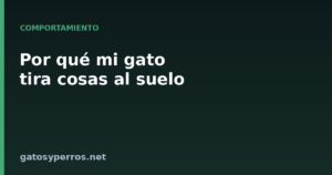 Por qué mi gato tira cosas al suelo