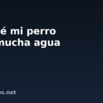 Por qué mi perro bebe mucha agua