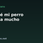 Por qué mi perro bosteza mucho