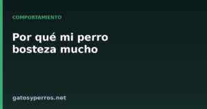 Por qué mi perro bosteza mucho
