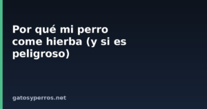 Por qué mi perro come hierba (y si es peligroso)