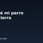 Por qué mi perro come tierra