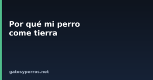 Por qué mi perro come tierra