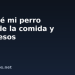 Por qué mi perro esconde la comida y los huesos