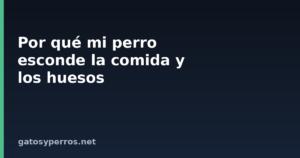 Por qué mi perro esconde la comida y los huesos