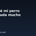 Por qué mi perro estornuda mucho