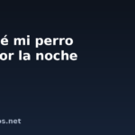 Por qué mi perro llora por la noche