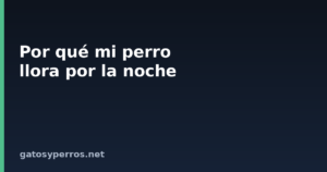 Por qué mi perro llora por la noche