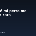 Por qué mi perro me lame la cara