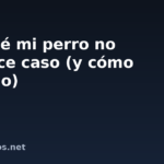 Por qué mi perro no me hace caso (y cómo lograrlo)