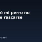 Por qué mi perro no para de rascarse