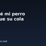 Por qué mi perro persigue su cola