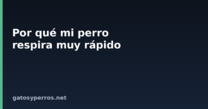 Por qué mi perro respira muy rápido