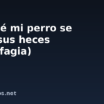 Por qué mi perro se come sus heces (coprofagia)