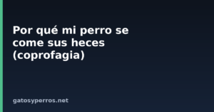 Por qué mi perro se come sus heces (coprofagia)