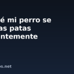 Por qué mi perro se lame las patas constantemente