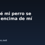 Por qué mi perro se sienta encima de mí