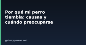 Por qué mi perro tiembla: causas y cuándo preocuparse